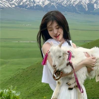麻雀王